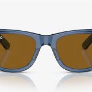 Ray-Ban Blue and Brown Women's Glasses